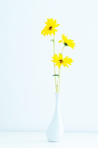 beautiful-bloom-blooming